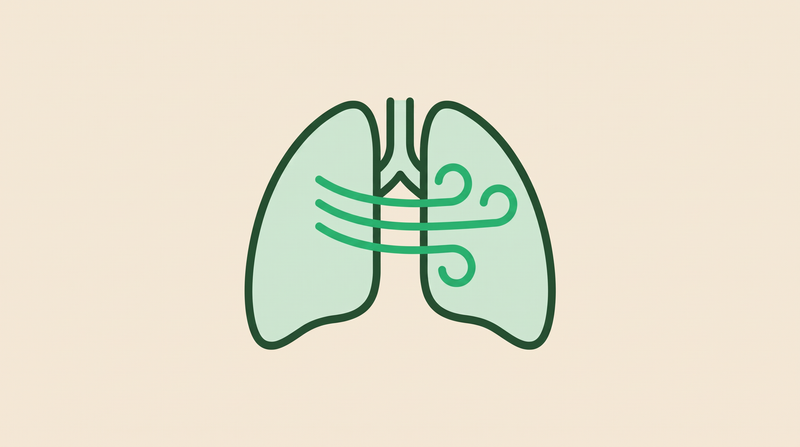 Vos voies respiratoires se dégagent